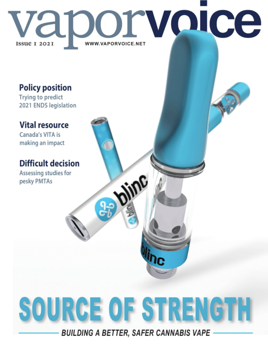 Vapor Voice issue #1 2021