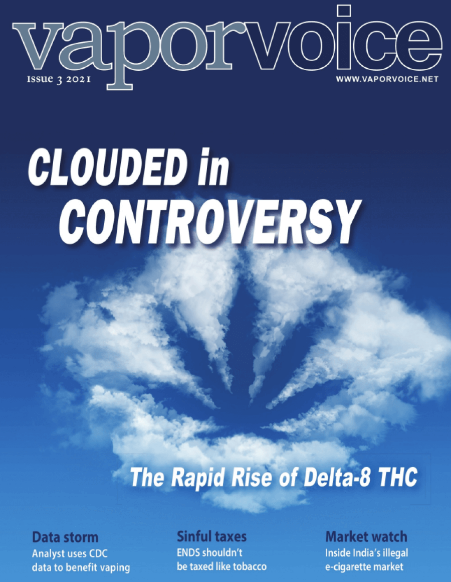 Vapor Voice issue #3 2021