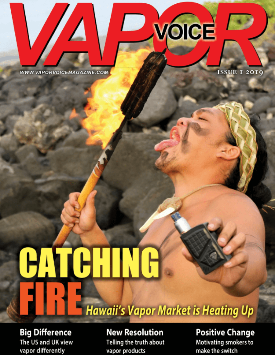 Vapor Voice issue #1 2019