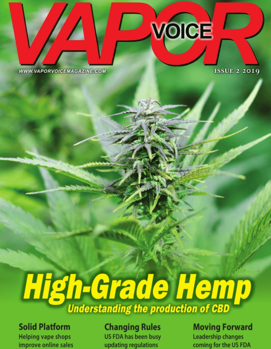 Vapor Voice issue #2 2019